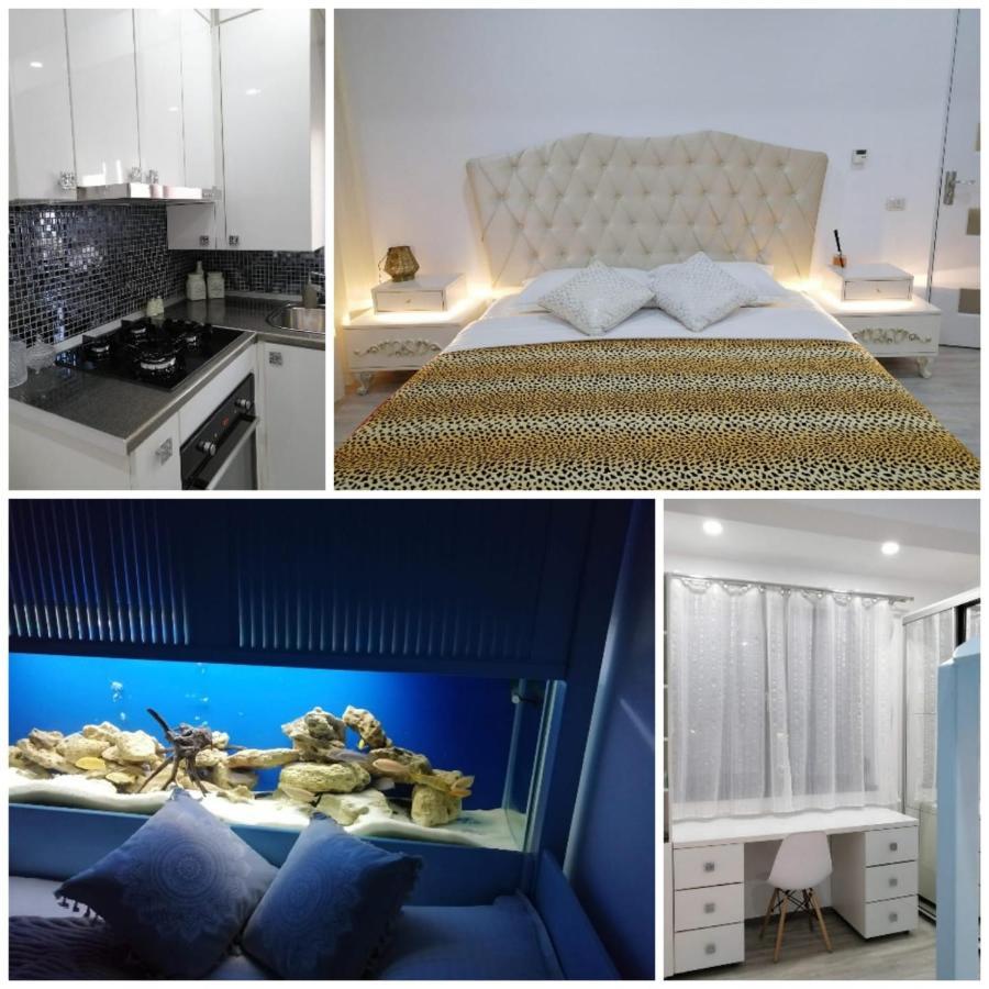 Nemo Apartment Năvodari Екстериор снимка